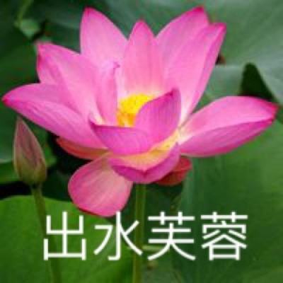 口袋新世代内测版下载